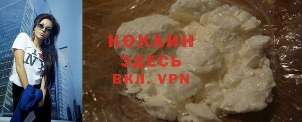 спайс Алзамай